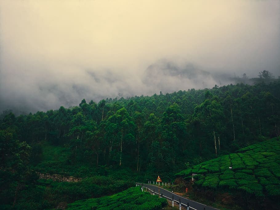 Freebie Inside - Kerala Paradise !